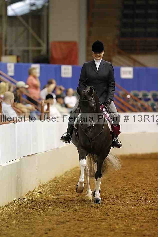 Proof Number 13r12_3603