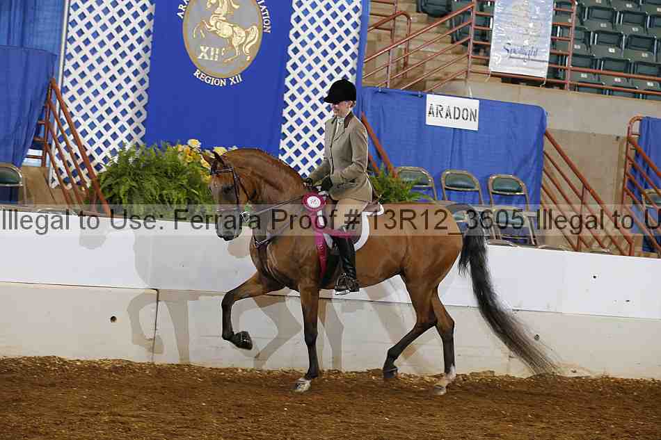 Proof Number 13r12_3605