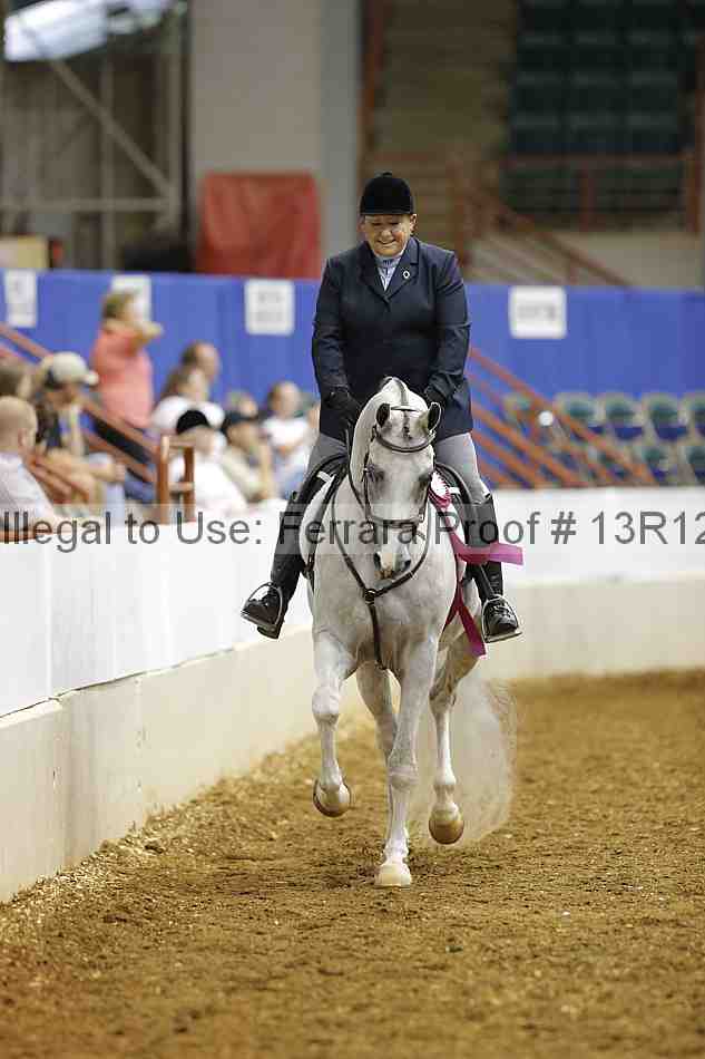 Proof Number 13r12_3606