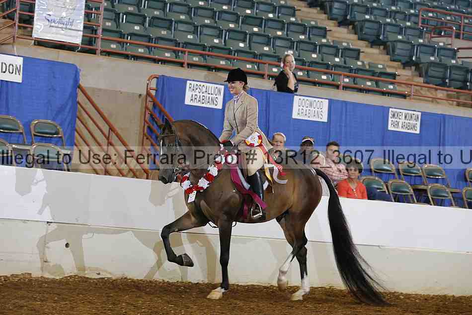Proof Number 13r12_3607
