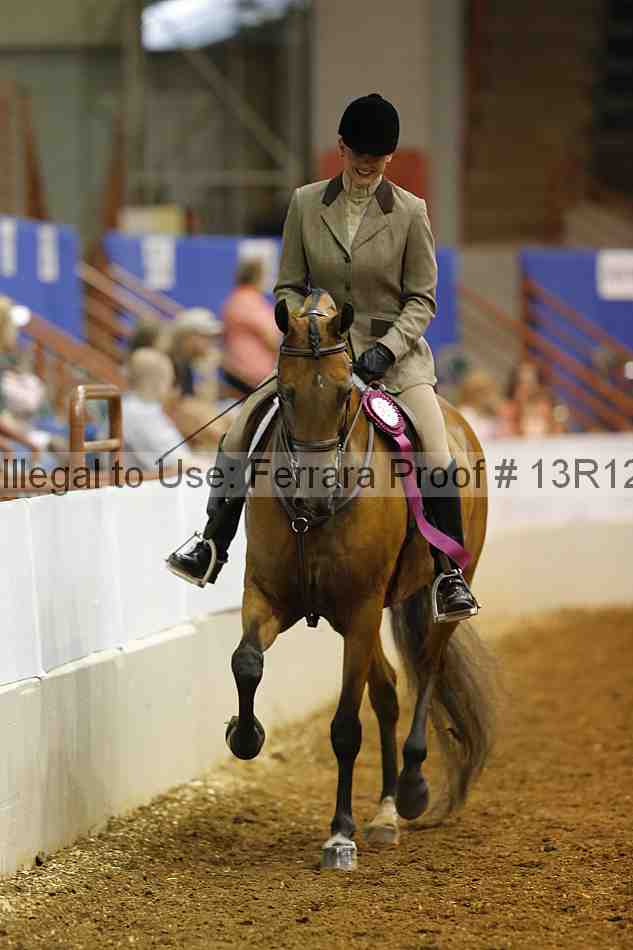 Proof Number 13r12_3608