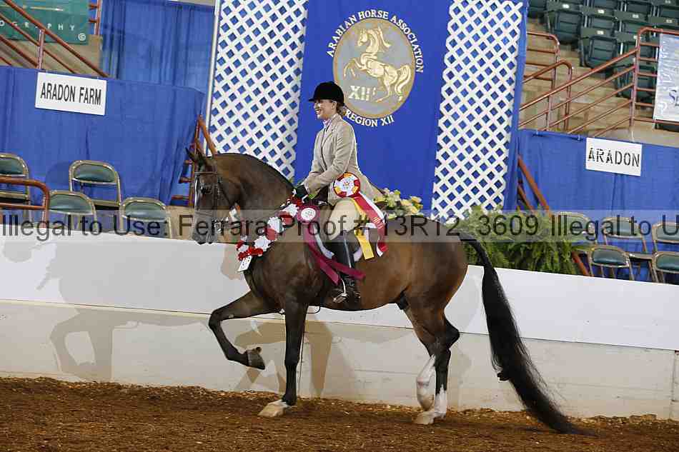Proof Number 13r12_3609