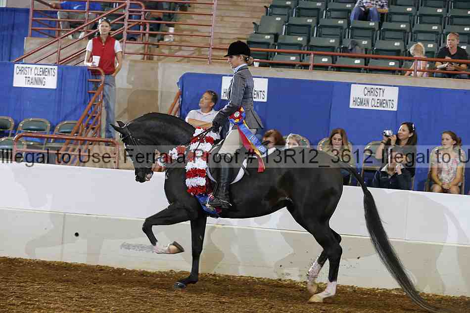 Proof Number 13r12_3612