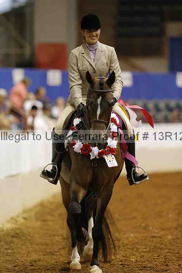 Proof Number 13r12_3613