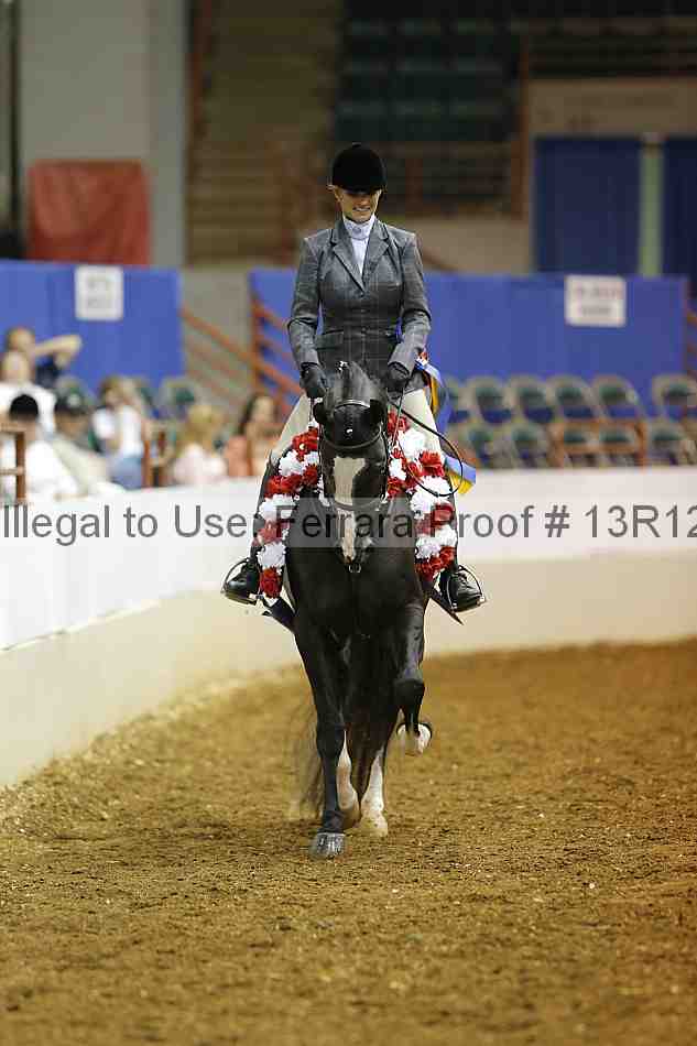 Proof Number 13r12_3614