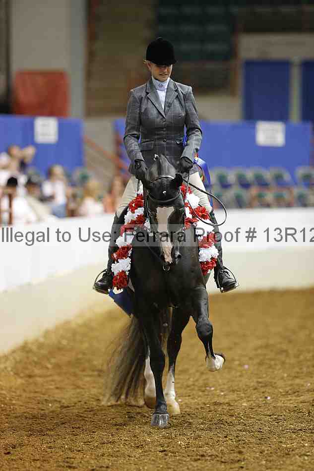 Proof Number 13r12_3615