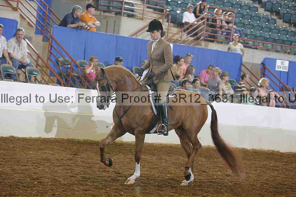 Proof Number 13r12_3631