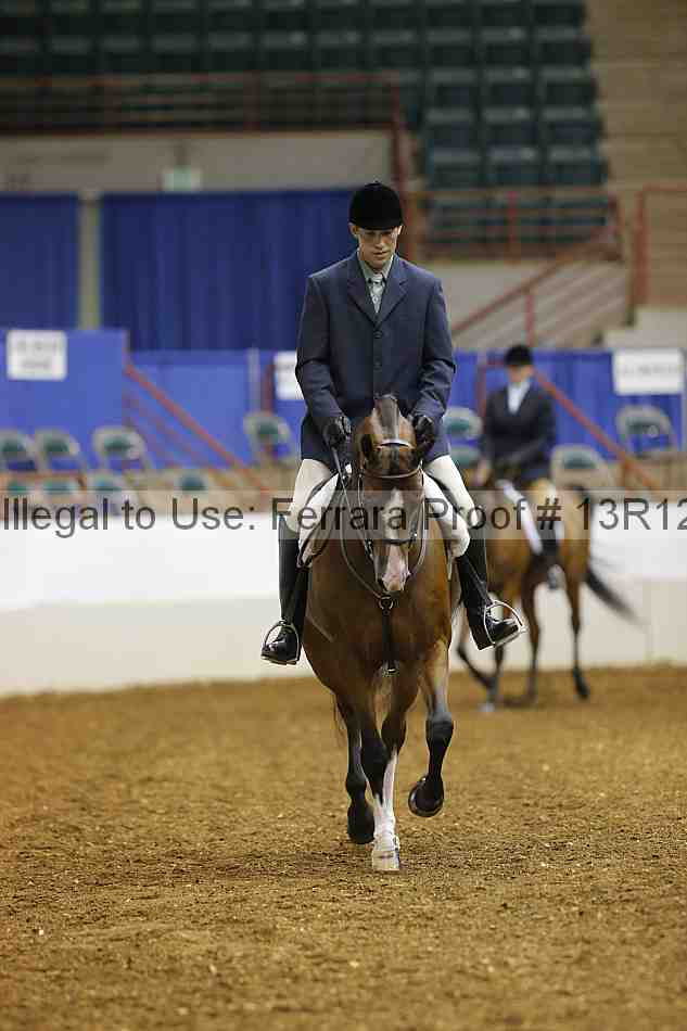 Proof Number 13r12_3641