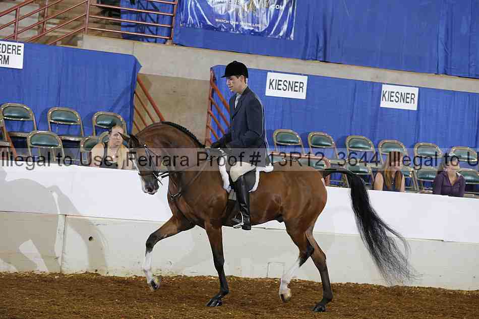 Proof Number 13r12_3644