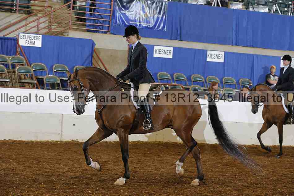 Proof Number 13r12_3645