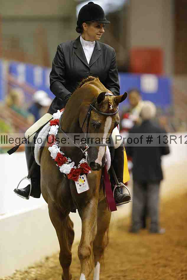 Proof Number 13r12_3662