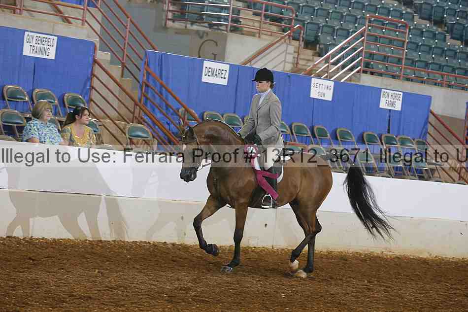 Proof Number 13r12_3671