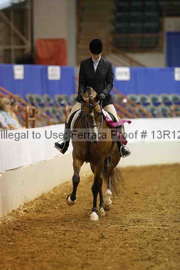 Proof Number 13r12_3673