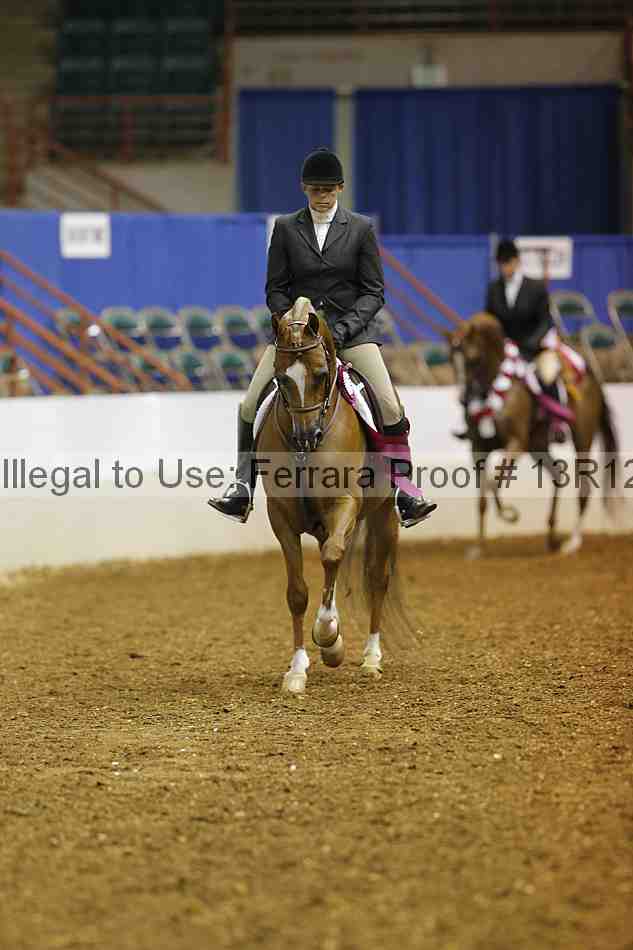 Proof Number 13r12_3678