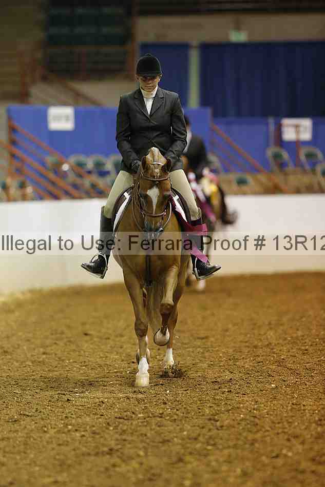 Proof Number 13r12_3680