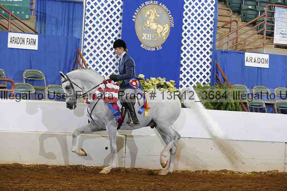 Proof Number 13r12_3684