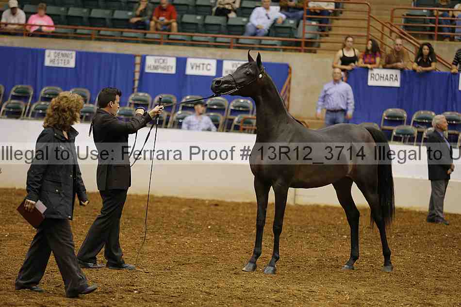 Proof Number 13r12_3714