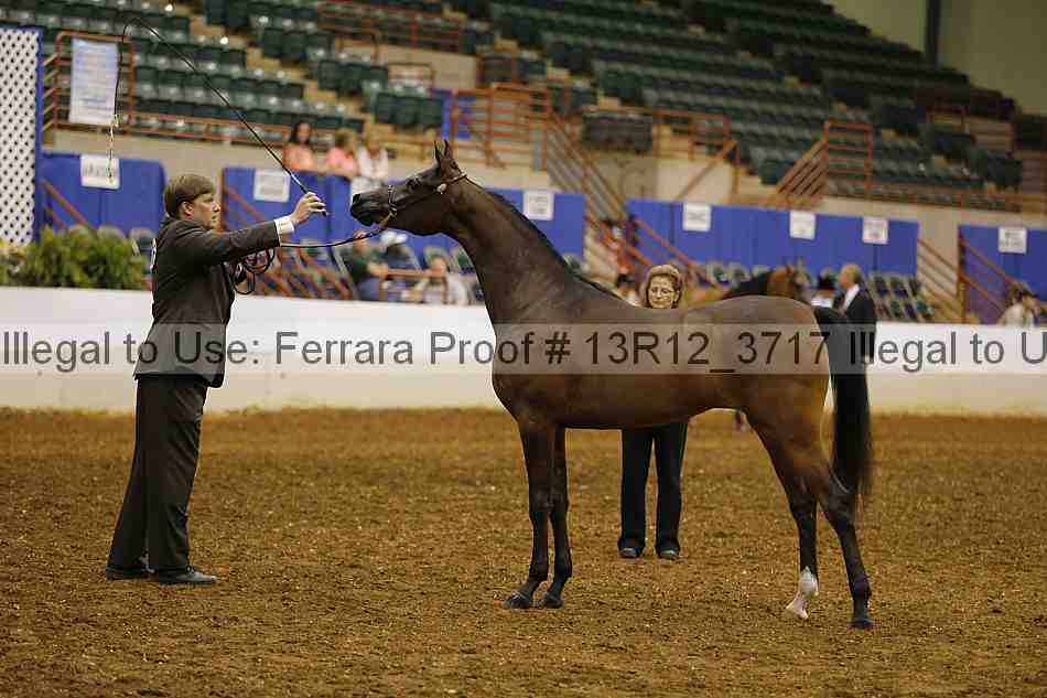 Proof Number 13r12_3717