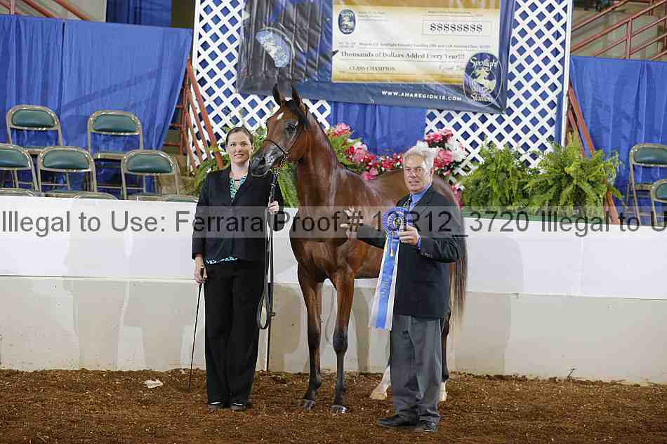 Proof Number 13r12_3720