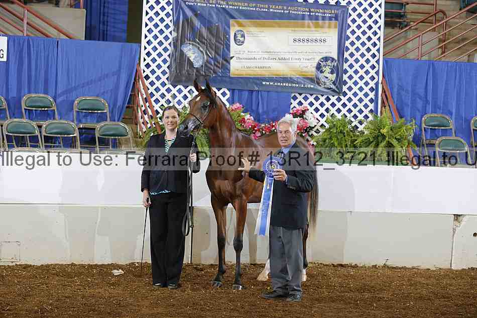 Proof Number 13r12_3721