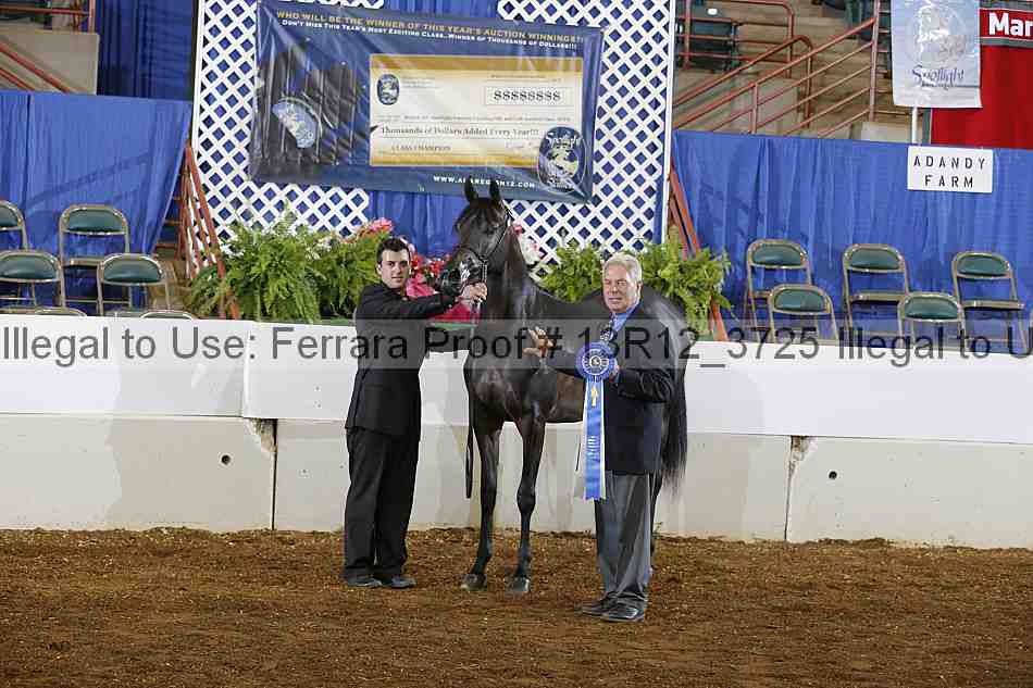 Proof Number 13r12_3725