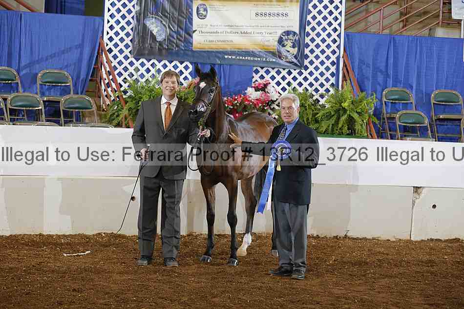Proof Number 13r12_3726