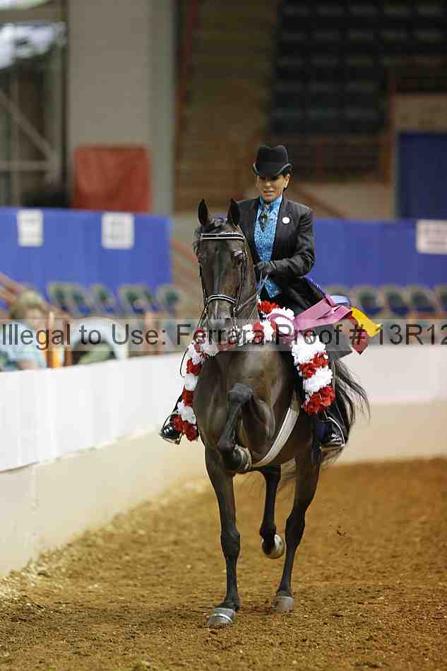 Proof Number 13r12_3767