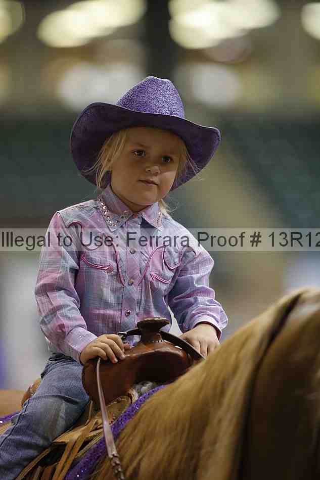 Proof Number 13r12_3799