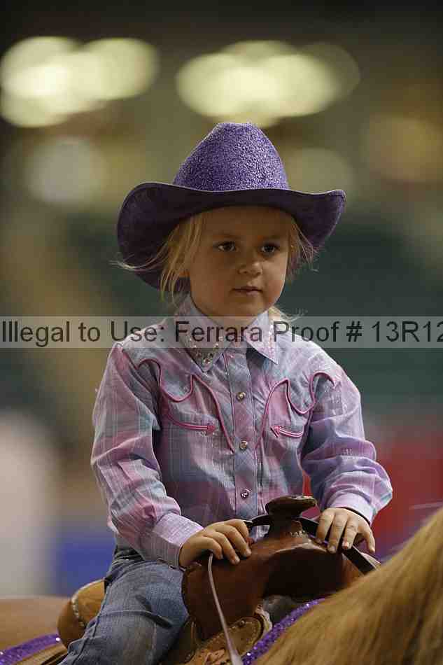 Proof Number 13r12_3800
