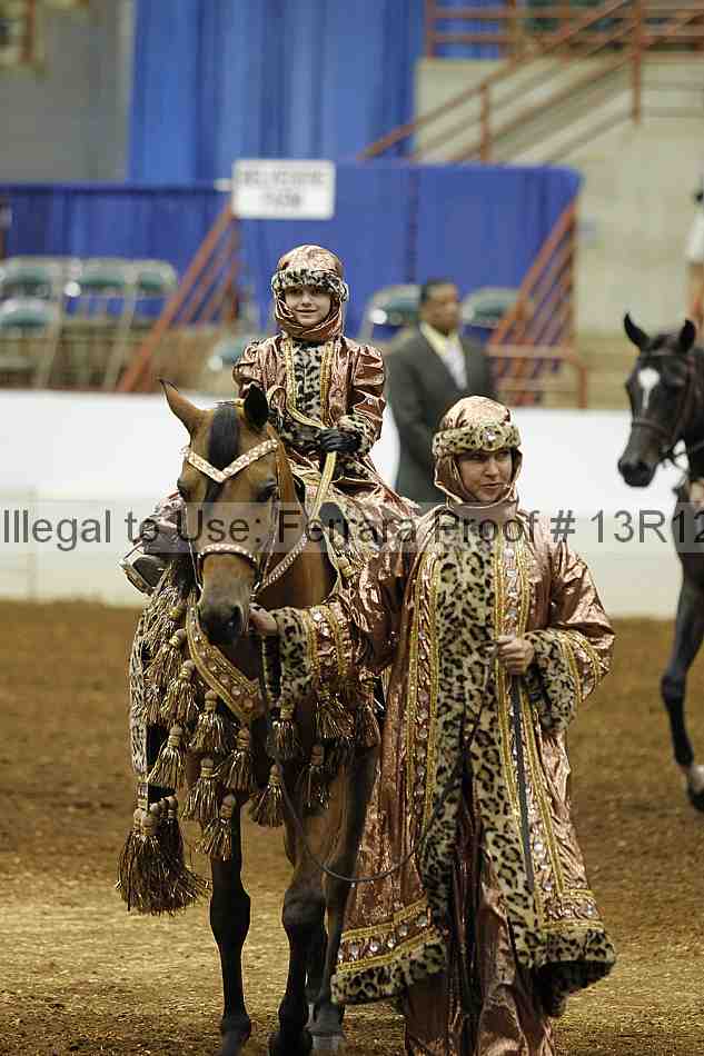 Proof Number 13r12_3801