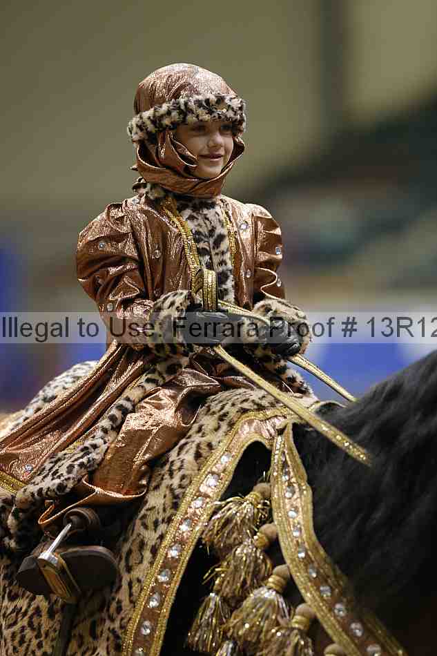 Proof Number 13r12_3809