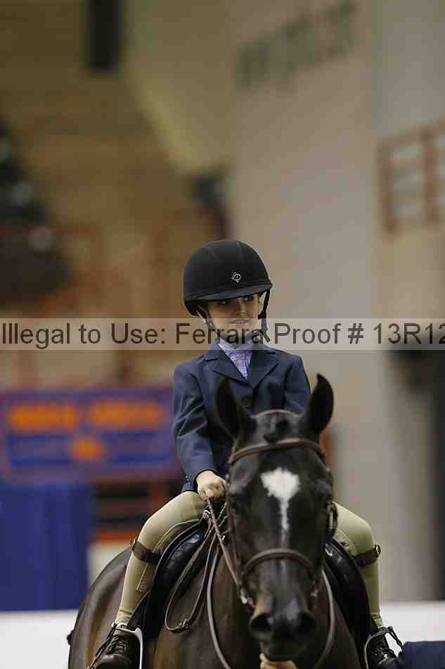 Proof Number 13r12_3817