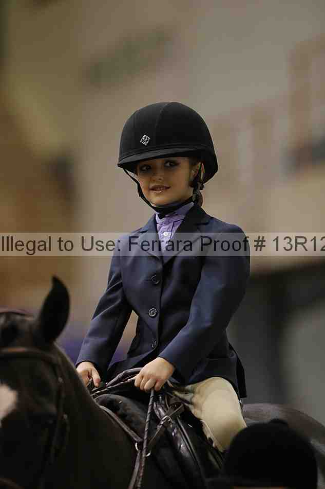Proof Number 13r12_3818
