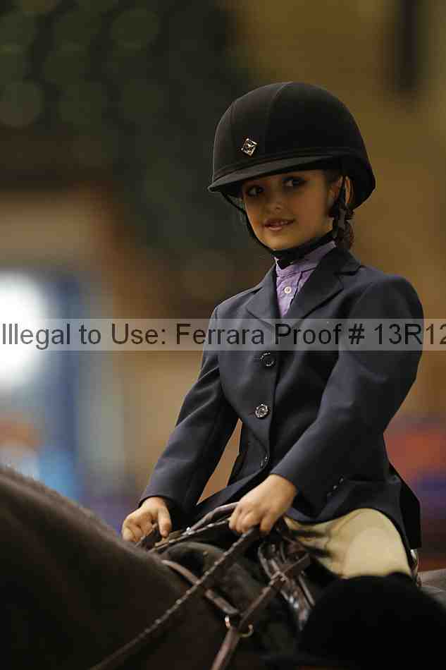 Proof Number 13r12_3819