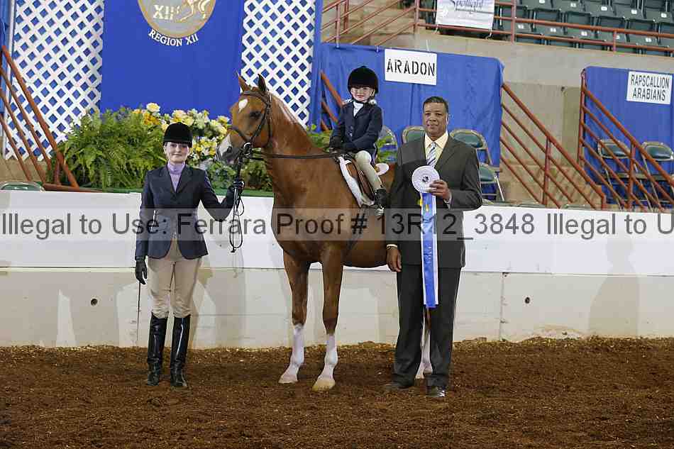 Proof Number 13r12_3848