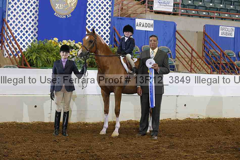 Proof Number 13r12_3849
