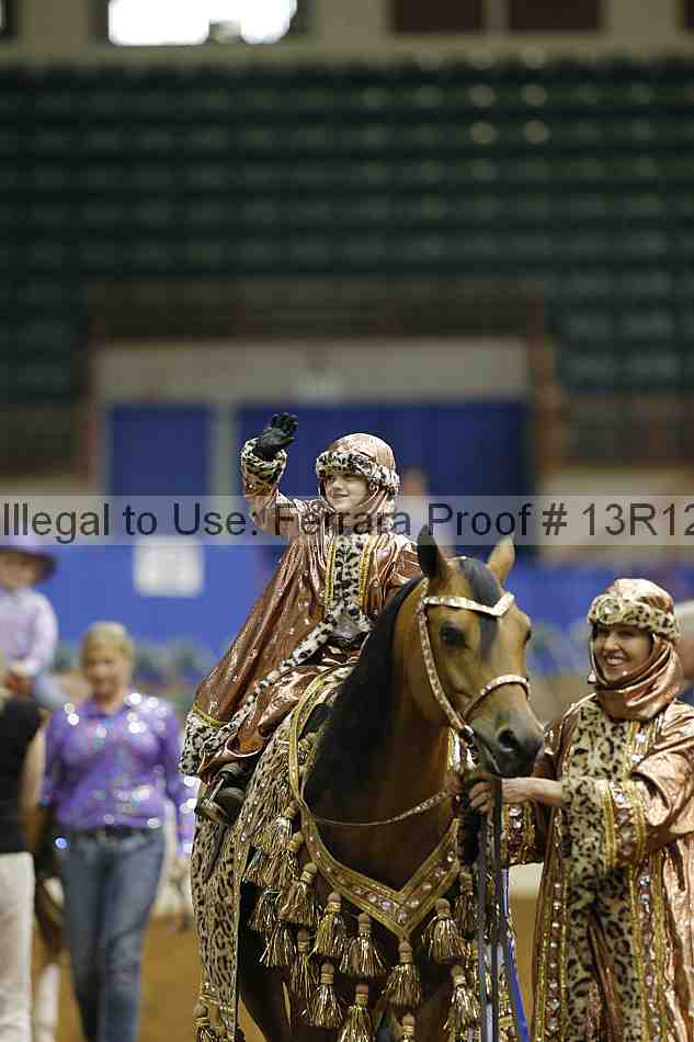 Proof Number 13r12_3859