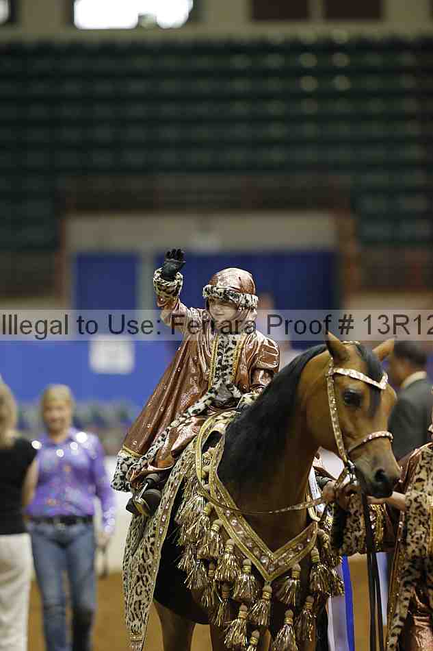 Proof Number 13r12_3860