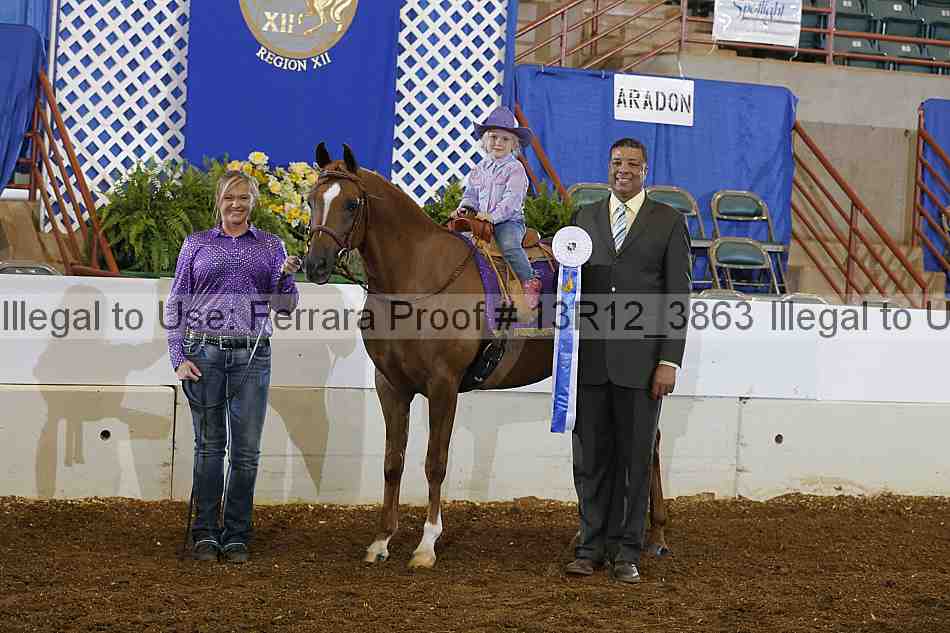 Proof Number 13r12_3863