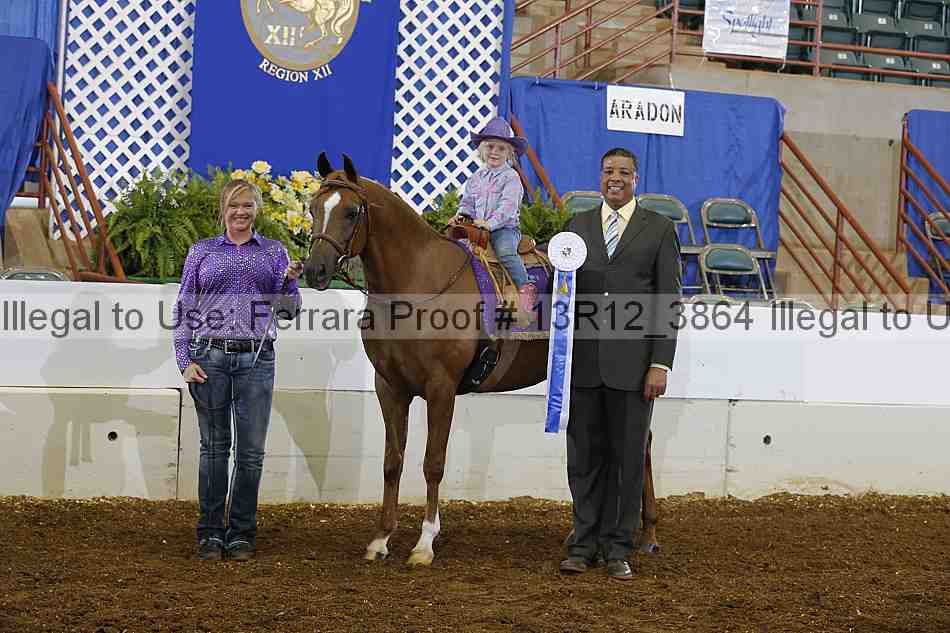Proof Number 13r12_3864