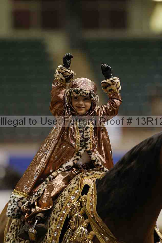 Proof Number 13r12_3868