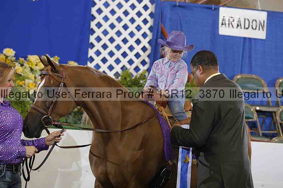 Proof Number 13r12_3870