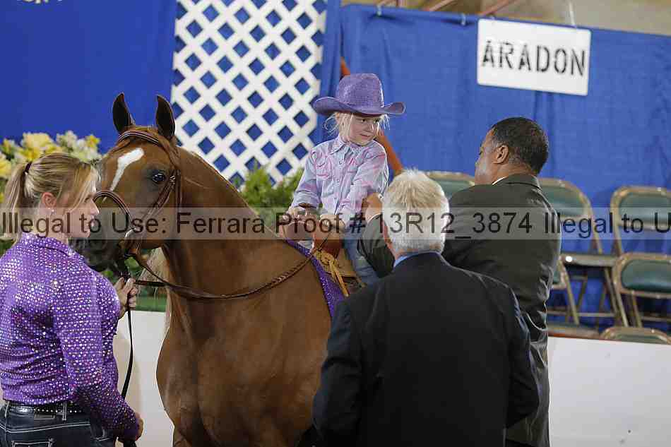 Proof Number 13r12_3874