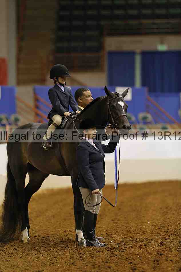 Proof Number 13r12_3885