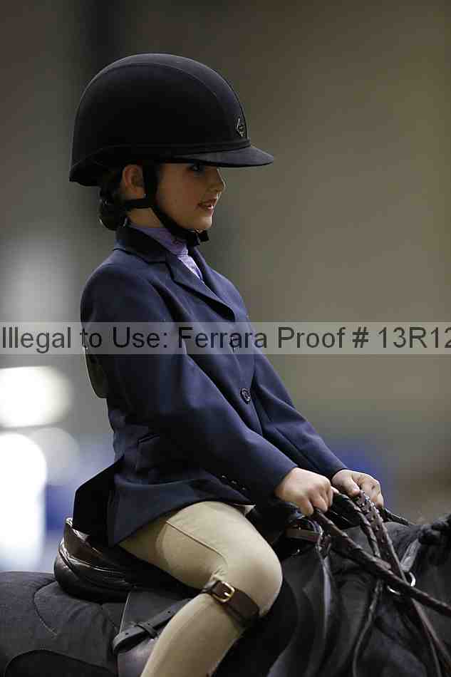 Proof Number 13r12_3889