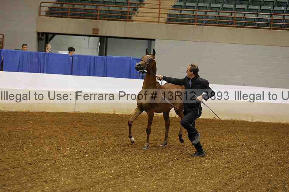 Proof Number 13r12_3893