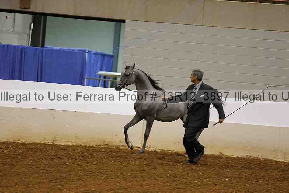 Proof Number 13r12_3897
