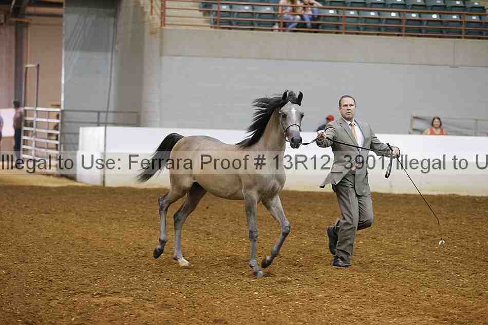 Proof Number 13r12_3901