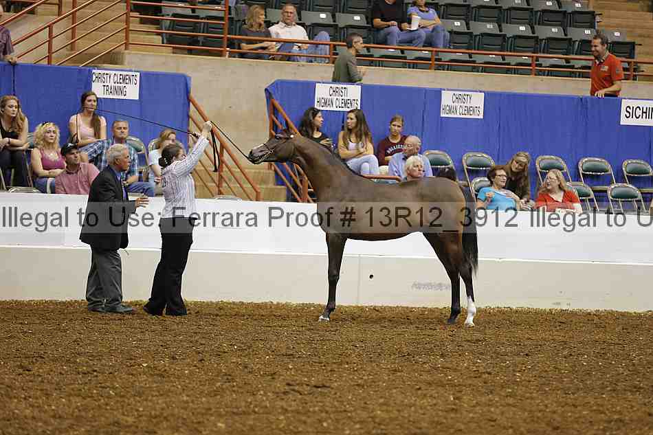 Proof Number 13r12_3912