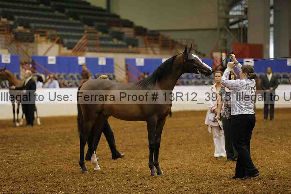 Proof Number 13r12_3915